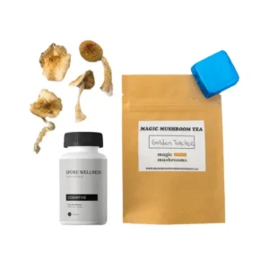 First Timer Magic Mushroom Kit: Psych 101 – An Introduction to Psychedelics
