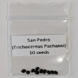 San Pedro Cactus Seeds – Trichocereus Pachanoi Seeds for Sale