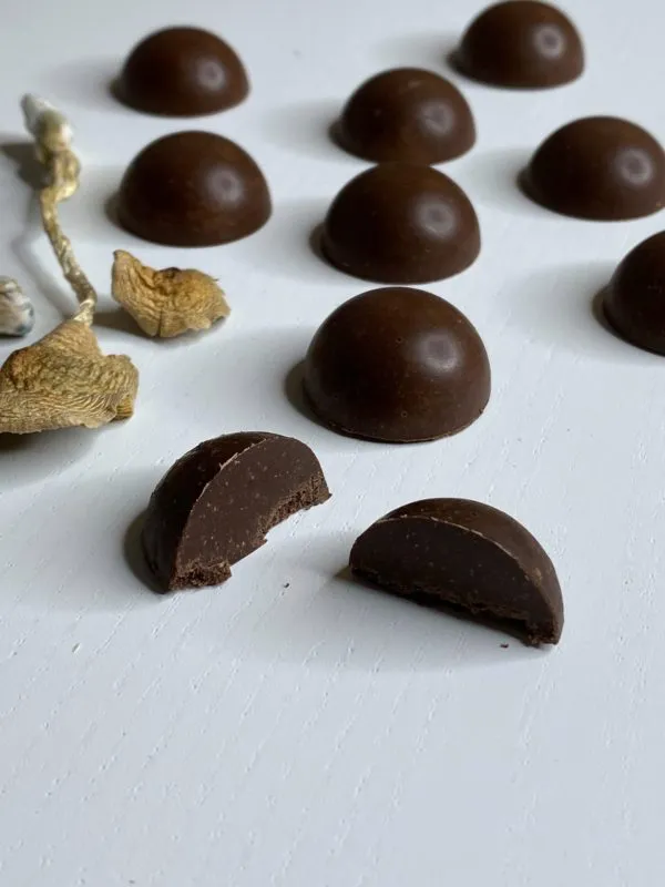 Shafaa-Magic-Mushroom-Dark-Chocolates-scaled-600x800-2 (1)